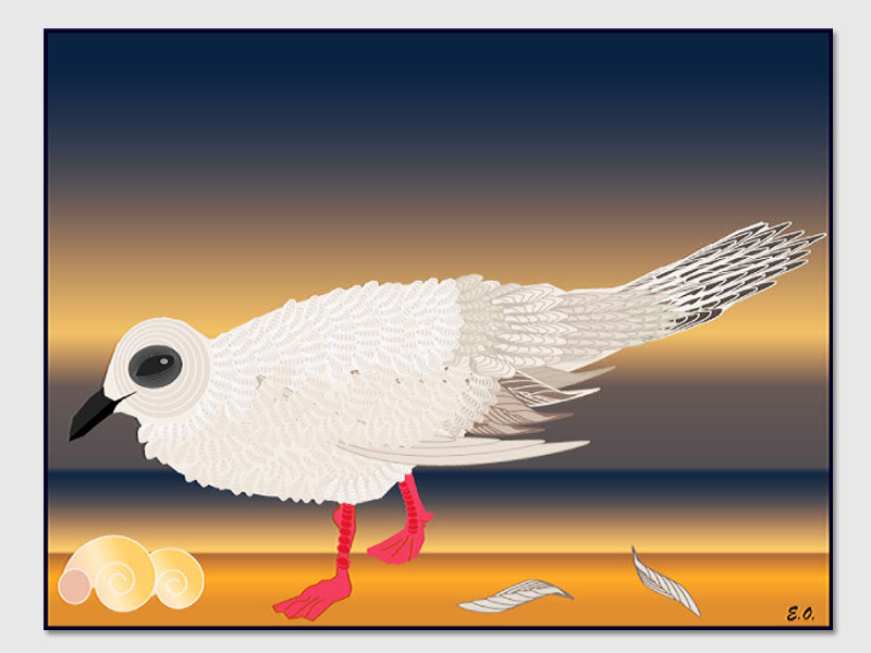 seagull